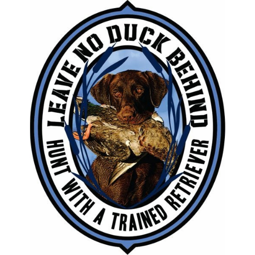 A Chocolate Labrador is loyal, obedient and playful. The speciality of this breed is sporting and hunting. Labradors have a reputation as a very even-tempered breed making them ideal for retrieving. Chocolate labs are at marking and they can help retrieve your bird after an excellent shot. The hunting decals of this breed can be used on trucks and car windows. Show your obedient hunting partner some love with a duck hunting decal for your car or duck hunting stickers for your coolers.