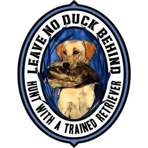 These duck hunting decals are the best way to show off your dog’s hunting prowess. The Yellow Labrador is one of the most popular dog breeds for waterfowl hunting. They are intelligent and sturdy which makes them ideal hunting partners. Our decal of this lab beautifully reflects their charming personality. The hunting decal of a yellow lab stands out everywhere from truck windows to coolers. Get these Yellow Labrador duck hunting stickers on high-quality vinyl in a waterproof glossy finish.